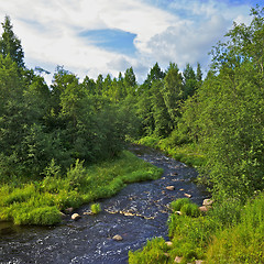 Image showing Rough River