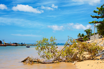 Image showing Andaman Sea Shore