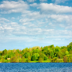 Image showing Forest on a Lake