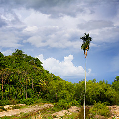 Image showing Koh Lanta Noi