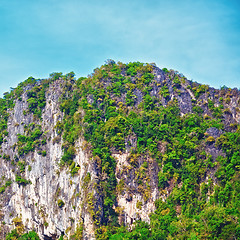 Image showing Thai Mountains