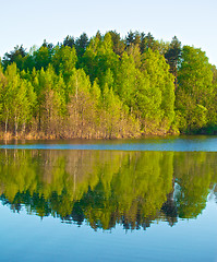 Image showing Forest on a Lake