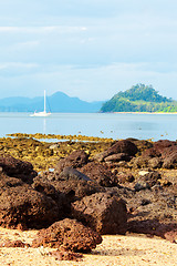 Image showing Yacht in the Sea