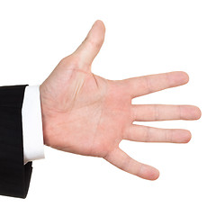 Image showing businessman opened hand