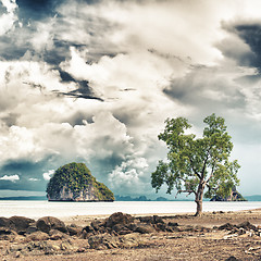 Image showing Thai Landscape