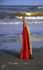 Image showing Red Woman T-Shirt at the beach