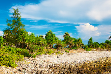 Image showing Tropical Beach