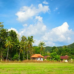 Image showing Thai Landscape