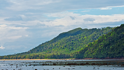 Image showing Andaman Shore