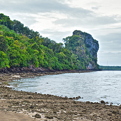 Image showing Andaman Sea Shore