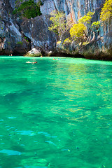 Image showing Snorkeling