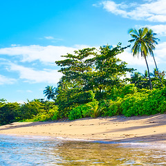 Image showing Tropical Beach