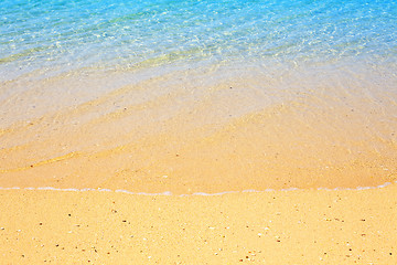 Image showing Tropical Beach