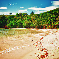 Image showing Tropical Beach