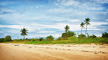 Image showing Sunny Beach