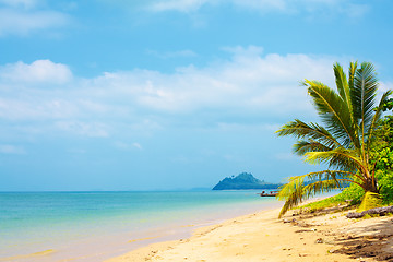 Image showing Tropical Beach