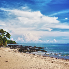 Image showing Tropical Beach