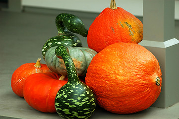 Image showing pumpkins