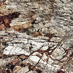 Image showing Rock Texture