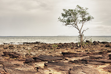 Image showing Rocky Shore