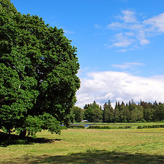 Image showing summer landscape