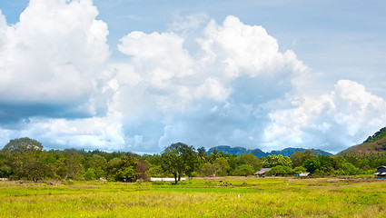 Image showing Thai Landscape