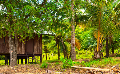 Image showing Hut in Jungle