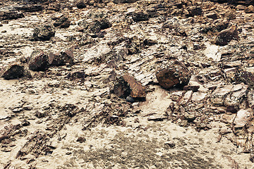 Image showing Rocks on a Shore