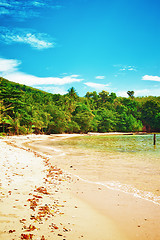 Image showing Tropical Beach