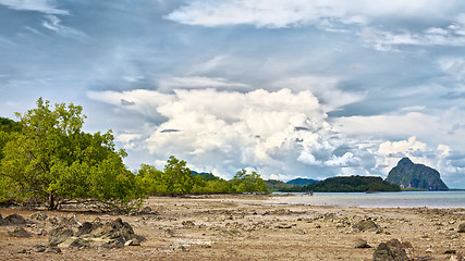 Image showing Tropical Beach