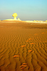 Image showing Landscape of the famous white desert in Egypt