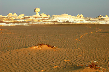 Image showing Landscape of the famous white desert in Egypt