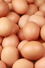 Image showing Brown eggs