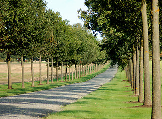 Image showing avenue