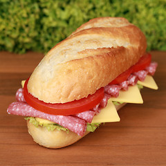 Image showing Salami Sandwich