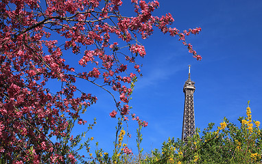 Image showing Parisian Spring