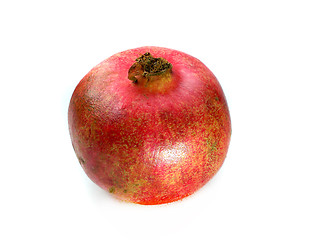 Image showing pomegranate 