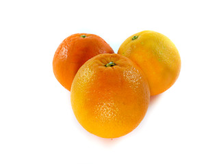 Image showing Fresh orange