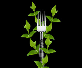 Image showing green leaves around Fork 