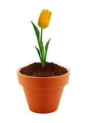 Image showing flower in clay pot 
