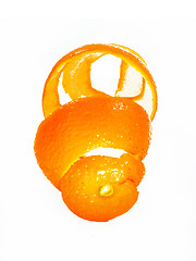 Image showing Peel of an orange