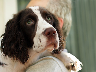 Image showing Man and his dog