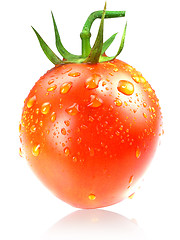 Image showing Fresh Red tomatoes