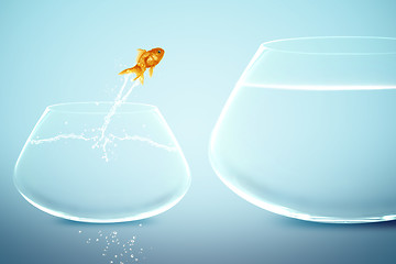 Image showing goldfish in small fishbowl watching goldfish jump into large fis