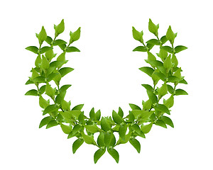 Image showing Wreath from Green leaves