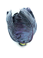 Image showing Fresh red cabbage 