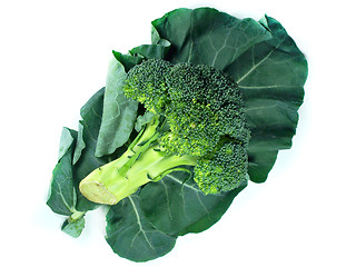 Image showing broccoli and Leaf 