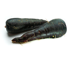 Image showing fresh black carrots