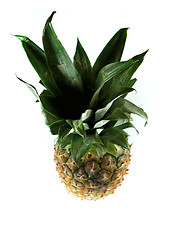 Image showing Fresh pineapple