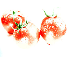 Image showing Fresh Red tomatoes